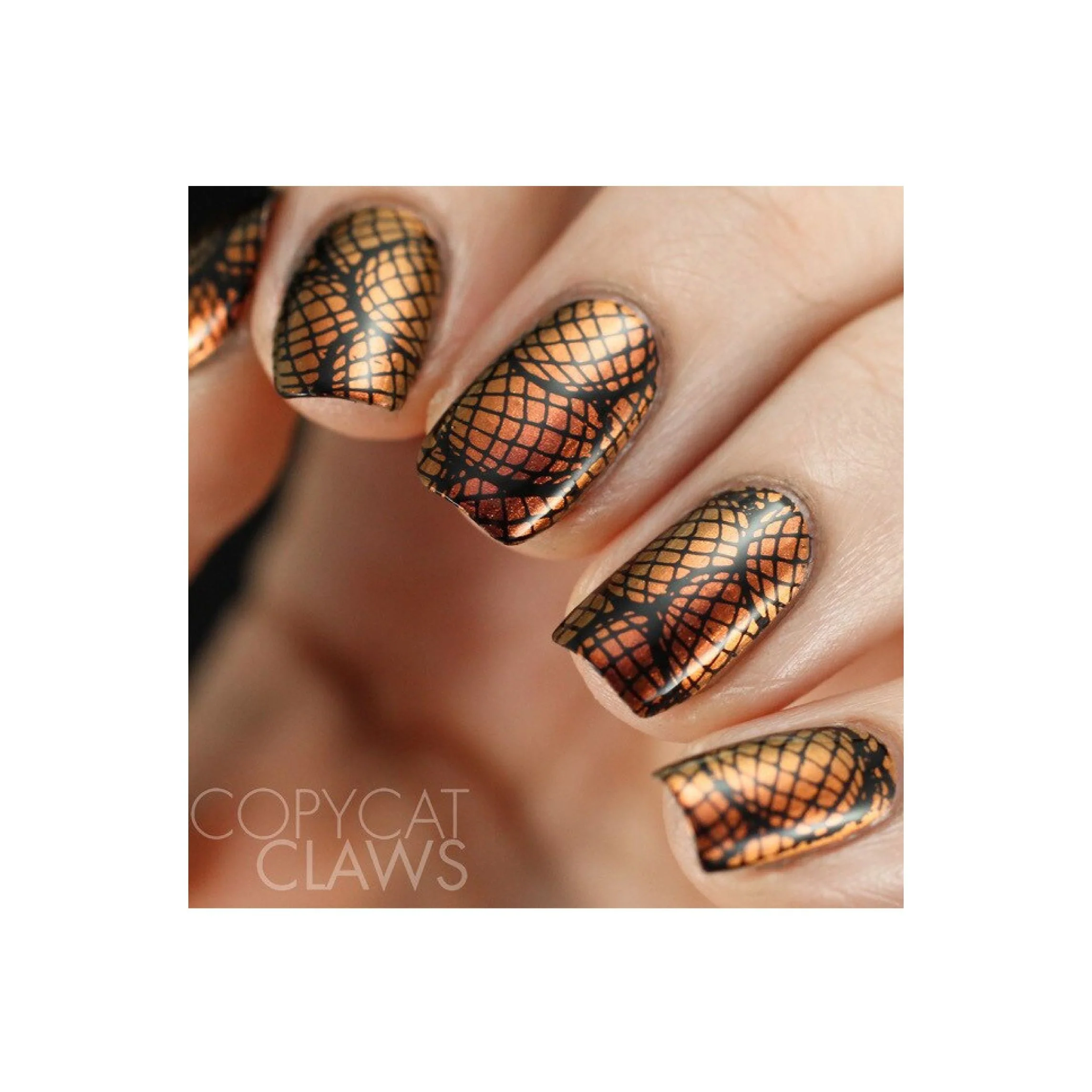 Thumbnail 14