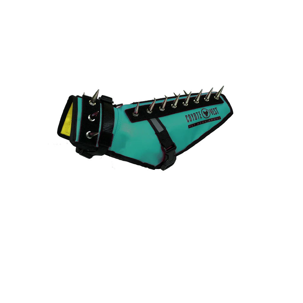 Thumbnail 11