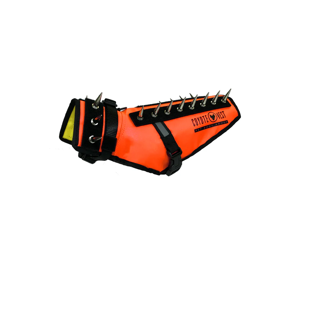 Thumbnail 45