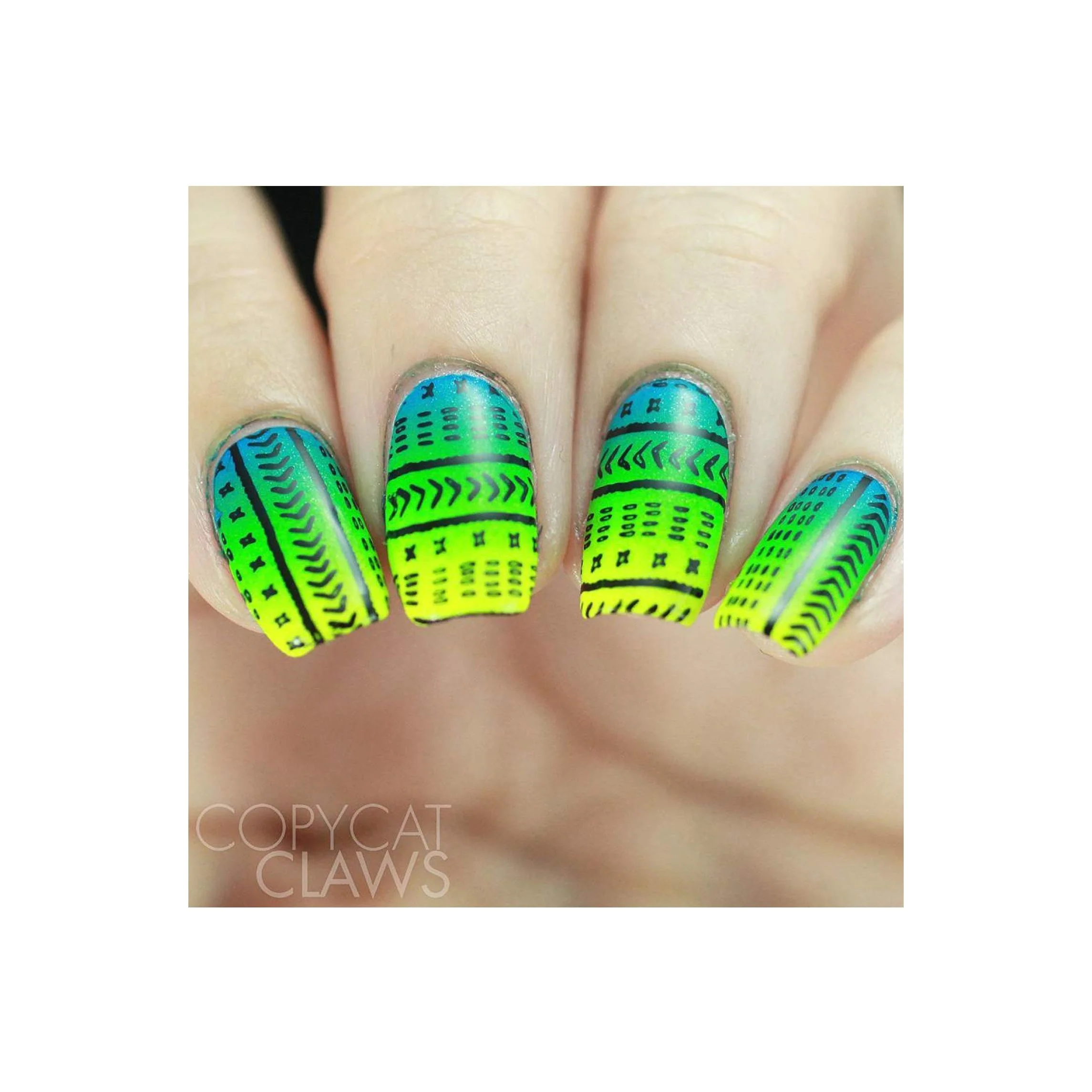 Thumbnail 13