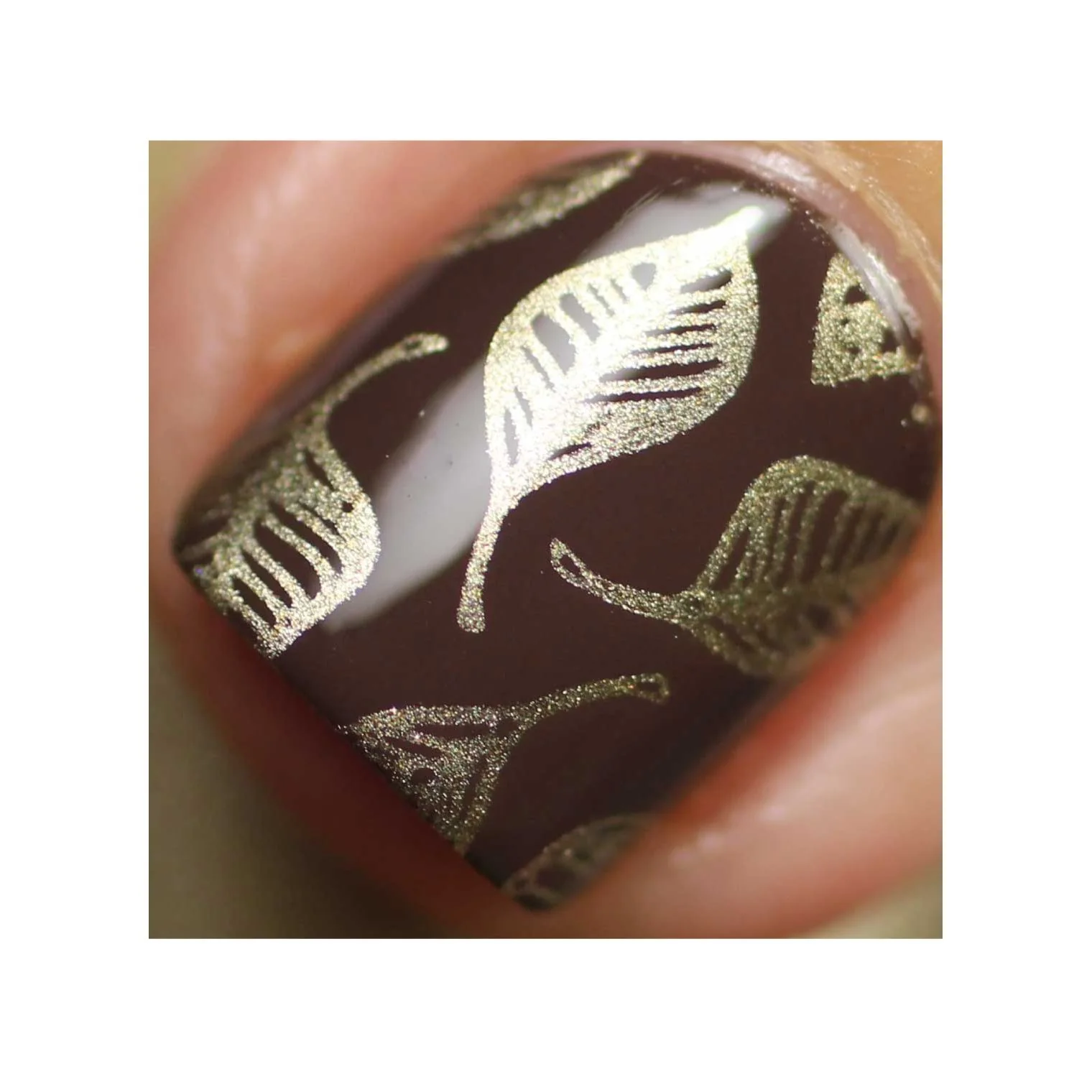Thumbnail 13