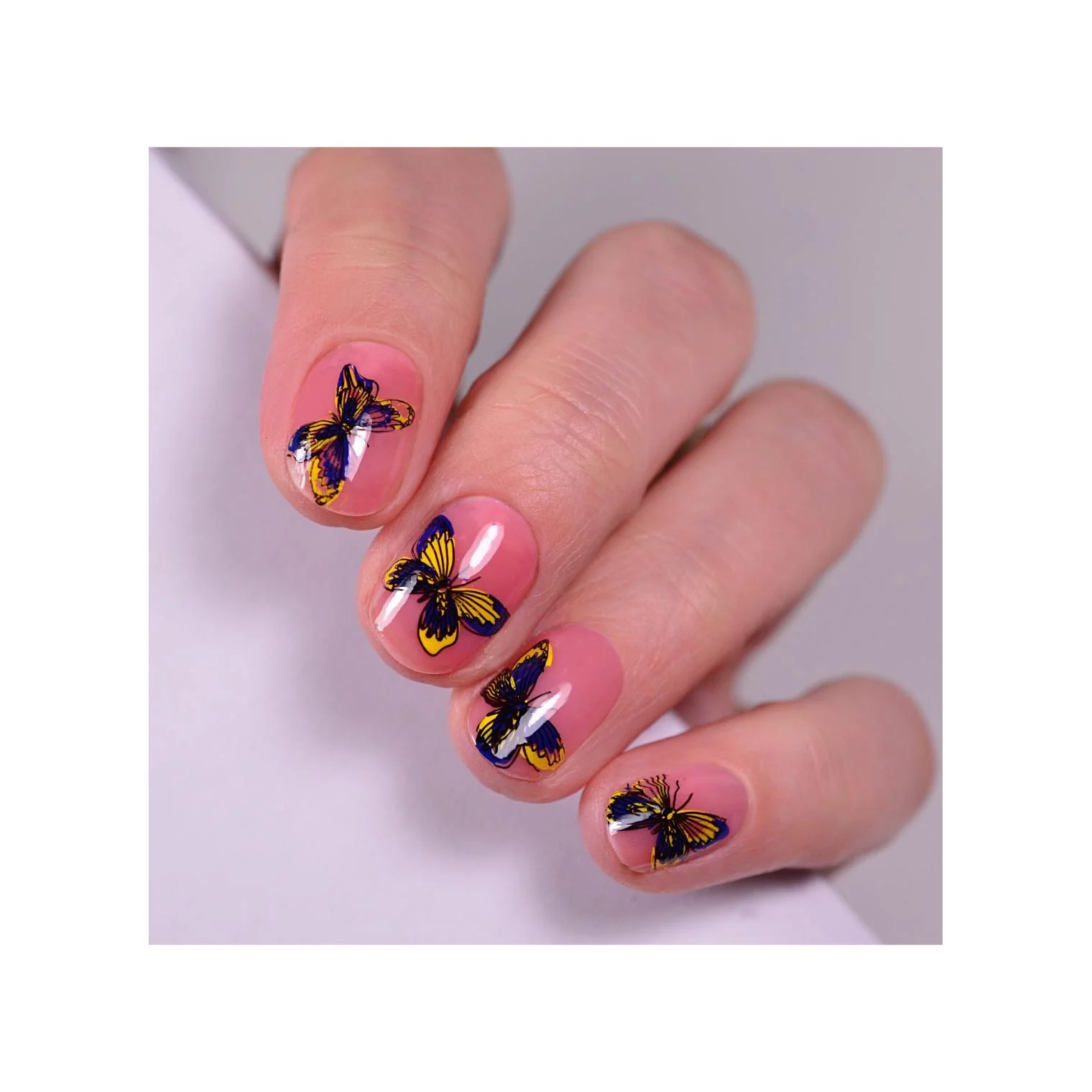 Thumbnail 14