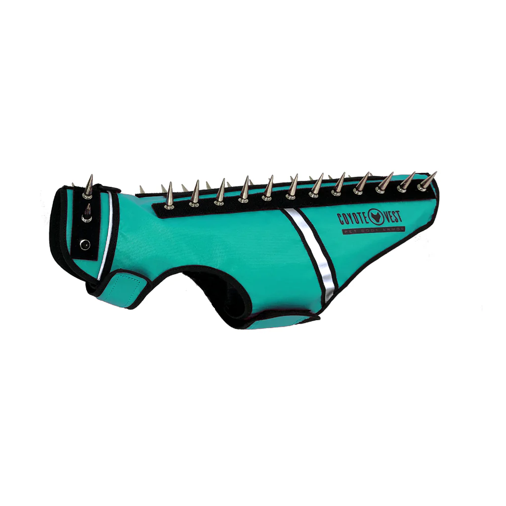 Thumbnail 26