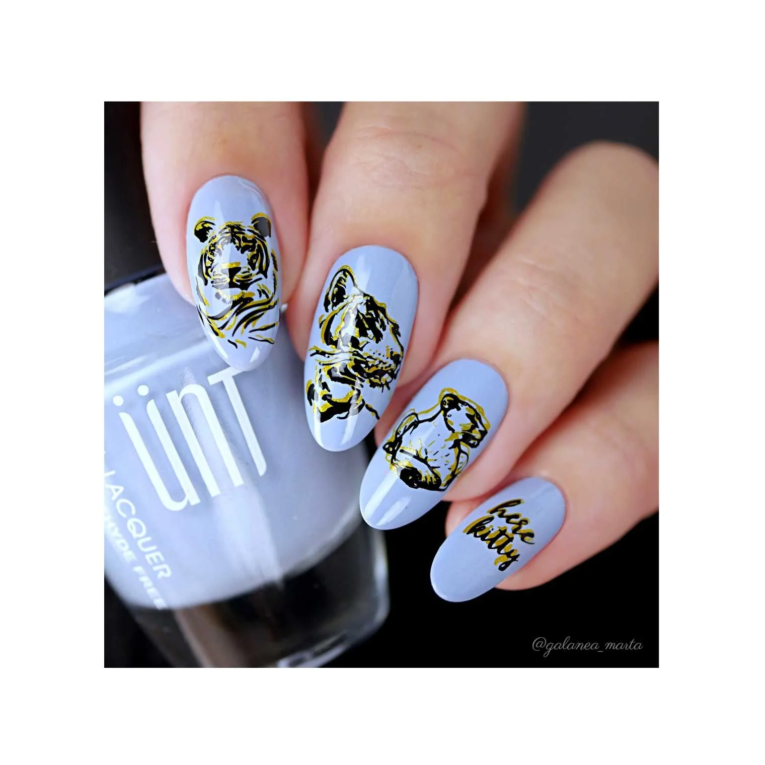 Thumbnail 11