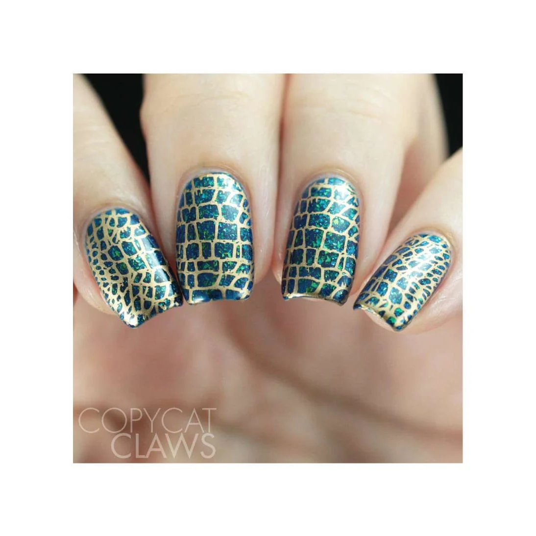 Thumbnail 11