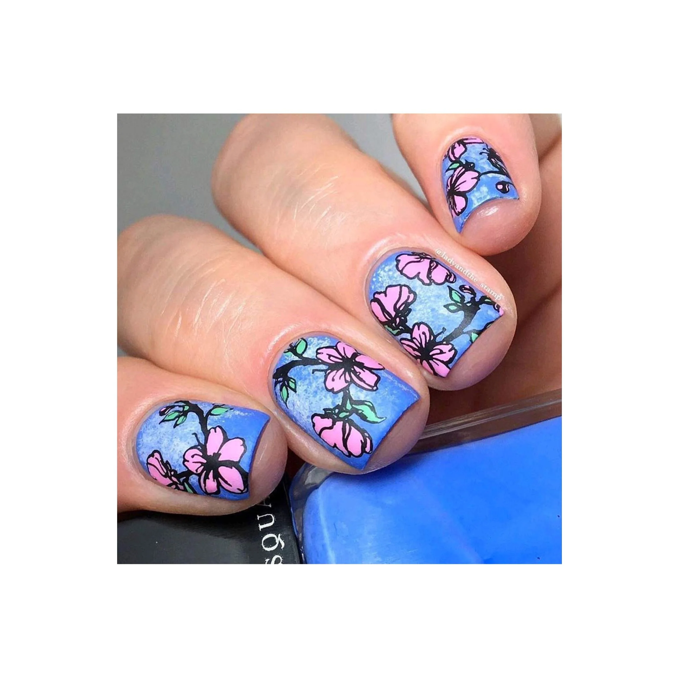 Thumbnail 13