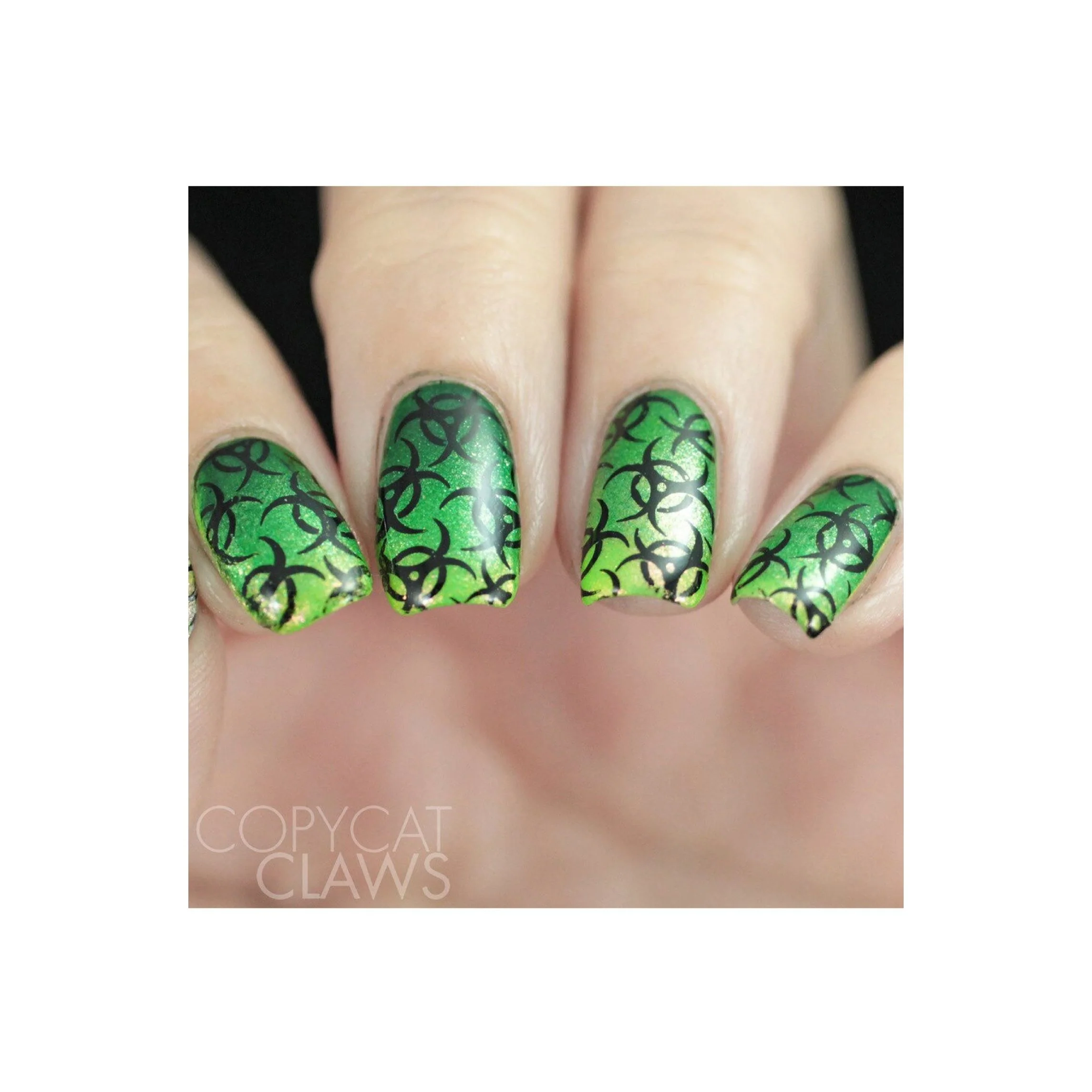 Thumbnail 13